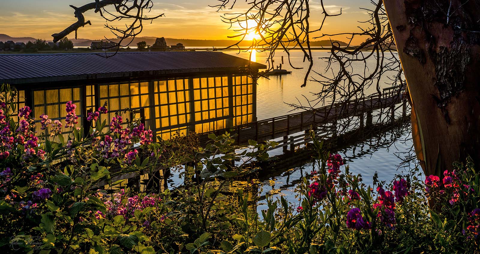 lopez island sunset boat house fisherman bay