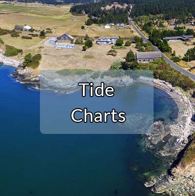 Island Tide Chart 2017