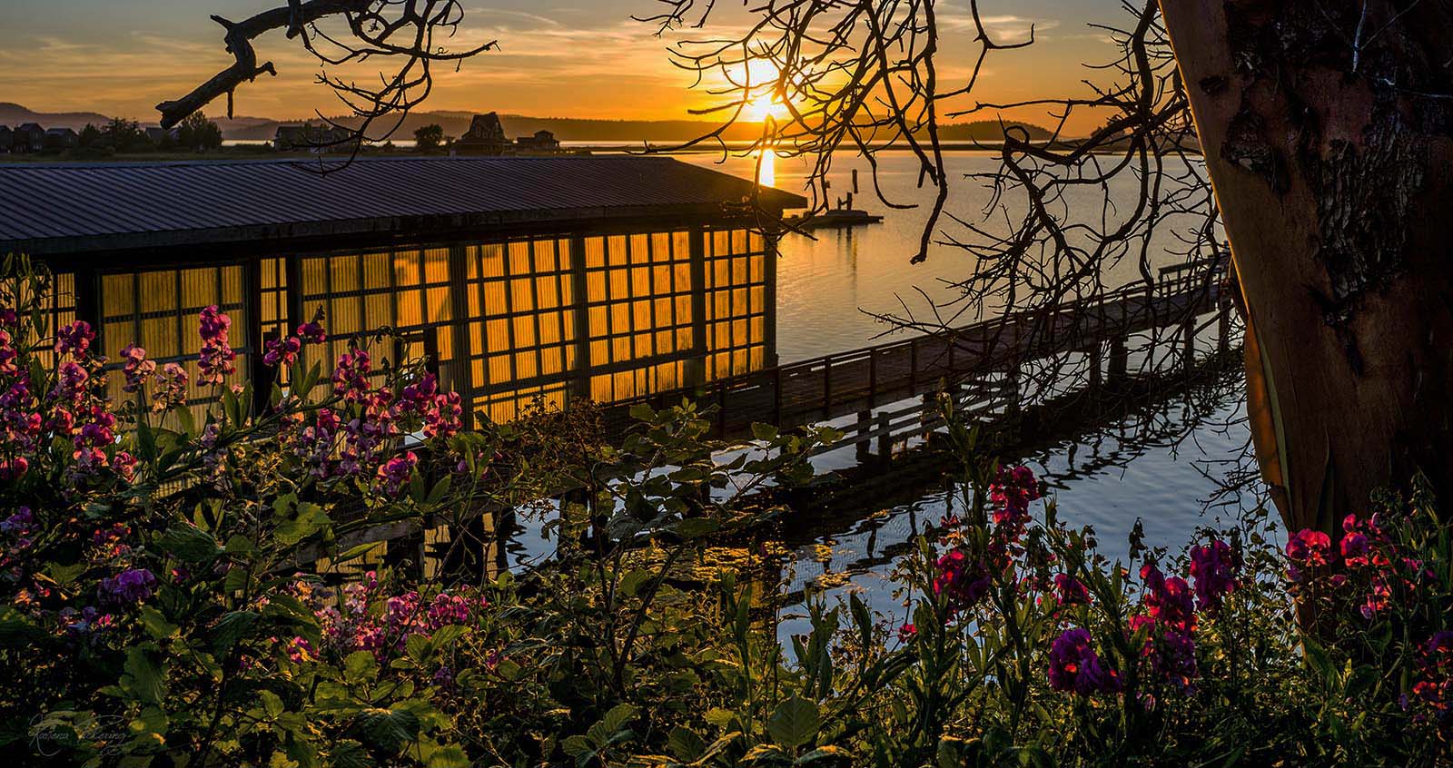 Lopez island sunset boat house moorage bay